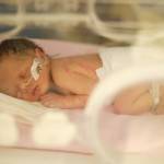 Tiny bundle of Zoe