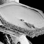 Rimmed hexagonal snow crystal