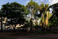 Wat Phnom Environs